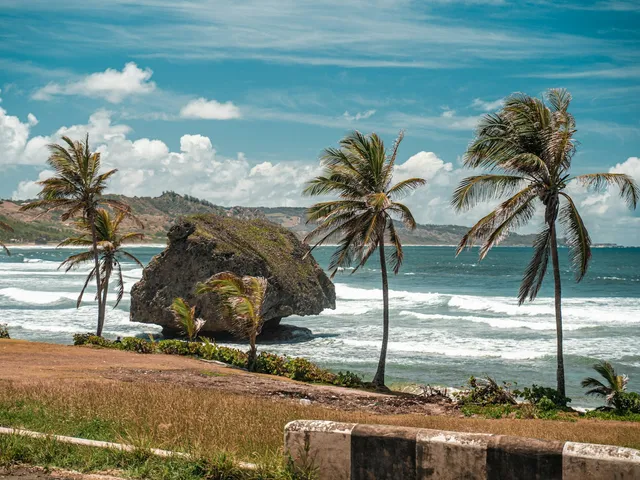 Palmen en de beroemde rotsformatie van Bathsheba aan de oostkust van Barbados
