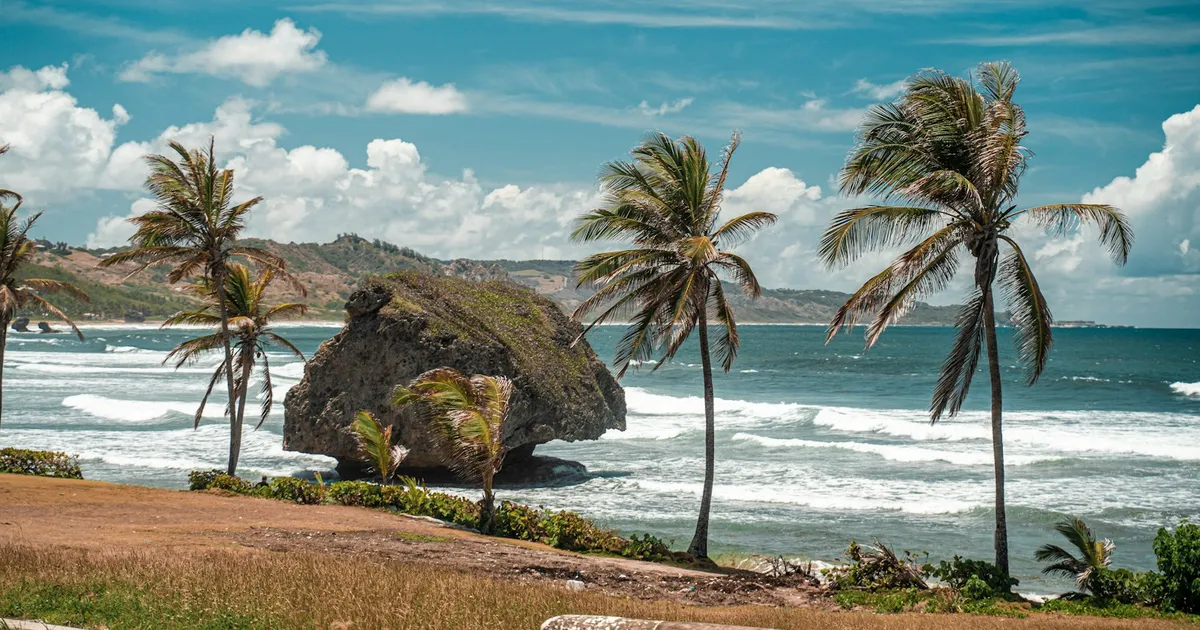 Palmen en de beroemde rotsformatie van Bathsheba aan de oostkust van Barbados