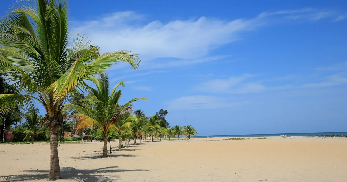 Palmen langs een breed zandstrand onder een blauwe lucht in Gambia
