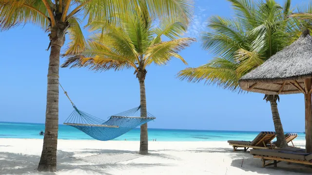Hangmat tussen palmen aan een wit strand met turquoise zee