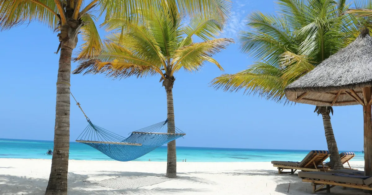 Hangmat tussen palmen aan een wit strand met turquoise zee