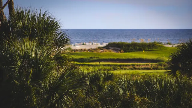 Golfgreen met palmen en de zee op de achtergrond