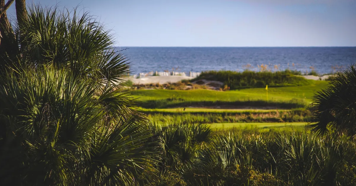 Golfgreen met palmen en de zee op de achtergrond