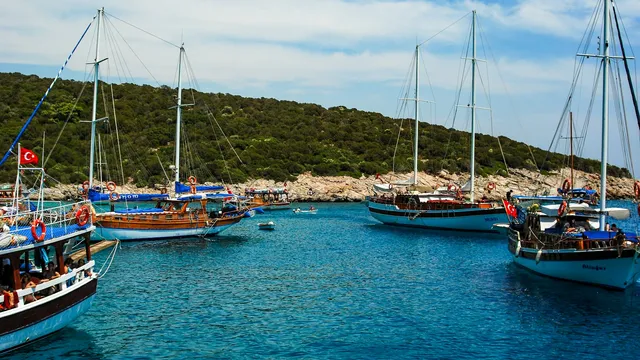 Traditionele gulet-zeilboten in een baai met groene heuvels bij Bodrum