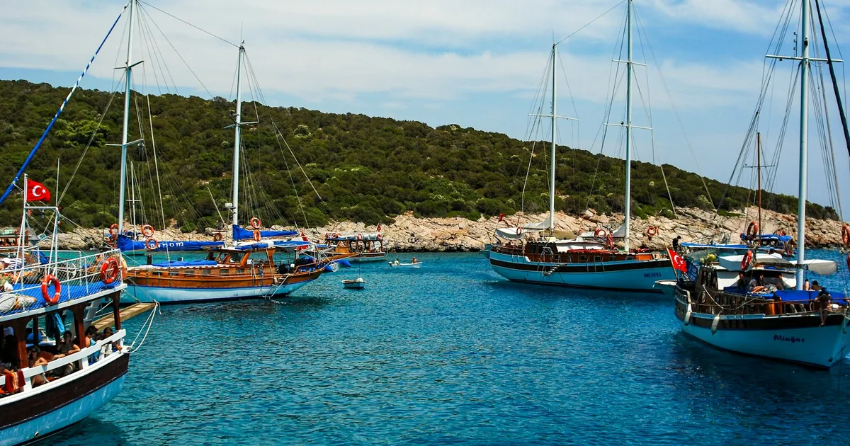 Traditionele gulet-zeilboten in een baai met groene heuvels bij Bodrum