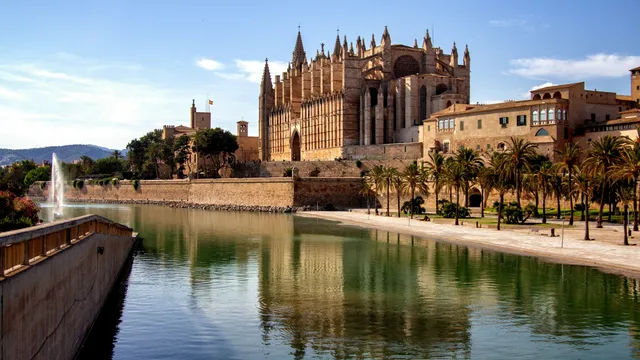 De kathedraal van Palma de Mallorca met palmen aan het water
