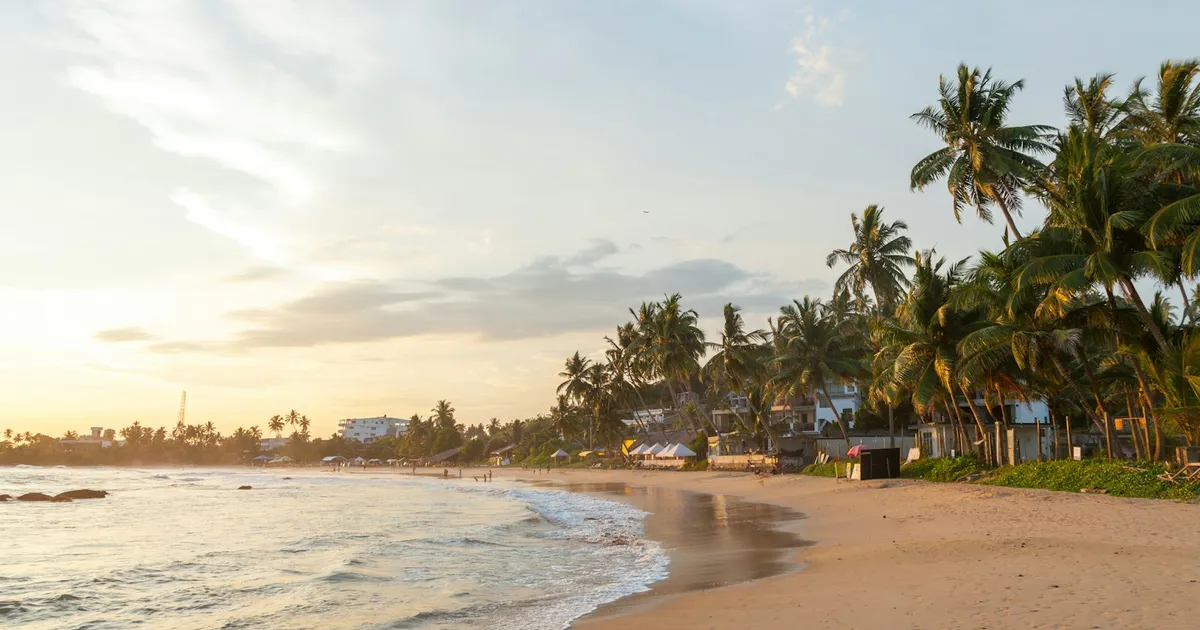 Palmen langs een goudkleurig strand met branding op Sri Lanka