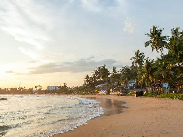 Palmen langs een goudkleurig strand met branding op Sri Lanka