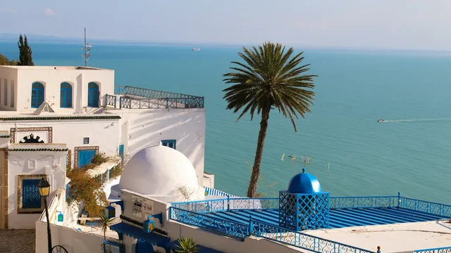 Witblauwe straat van Sidi Bou Saïd in Tunesië met bougainville